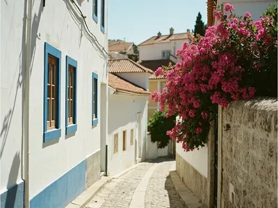 Barreiro