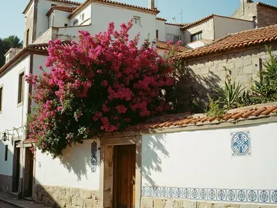 Camacha