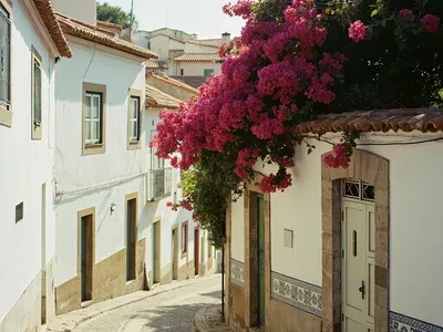 Camara de Lobos