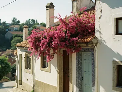 Castelo Branco