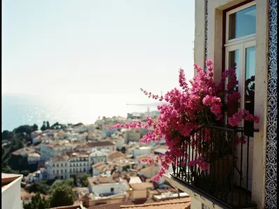 Lisbon