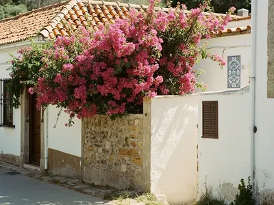 Sangalhos