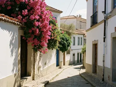 São Vicente