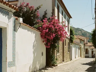 Terceira (Azores)