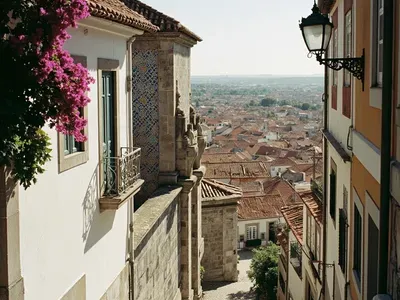 Viseu